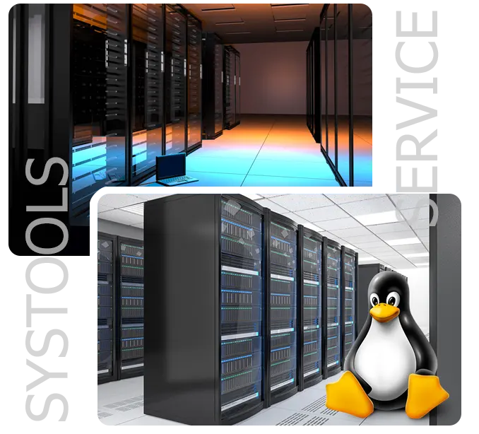 linux-dedicated-server-hosting-in-india-overview