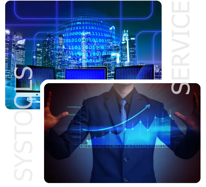 professional services