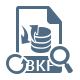 preview Recovered BKF file
