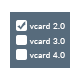 convert & export contacts from Excel to vCard 2.1, 3.0 & 4.0