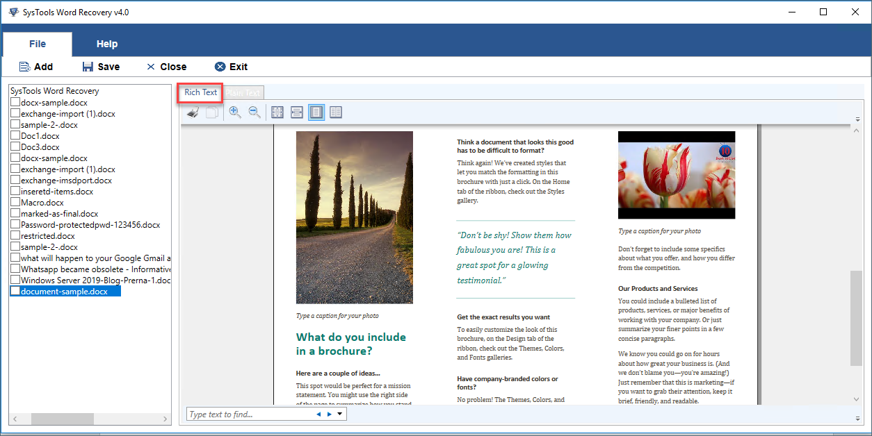 Word Document Repair Status